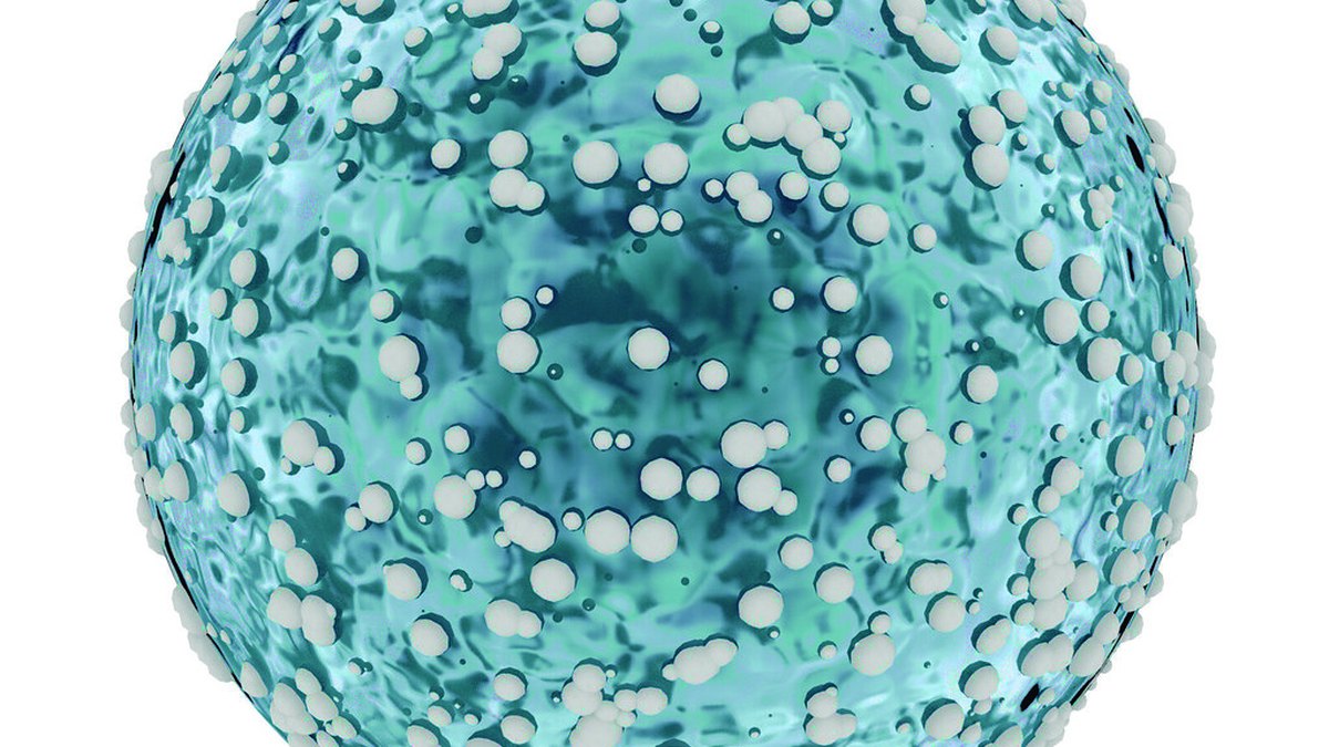 An engineered lymphocyte densely studded with surface receptors — a visual for the chimeric antigen receptor central to CAR-T cell therapy, curated by Panacea Bio Chem and Bogdan Dicoias